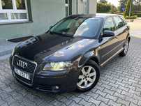 Audi A3 1.6MPI 102KM Nowy Rozrząd Xenon Skóra Podgrz Fotele Nowe Hamulce