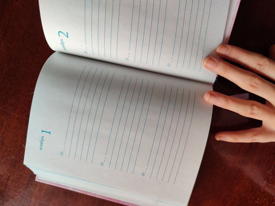 Магический дневник на 3 года. Мари Кондо