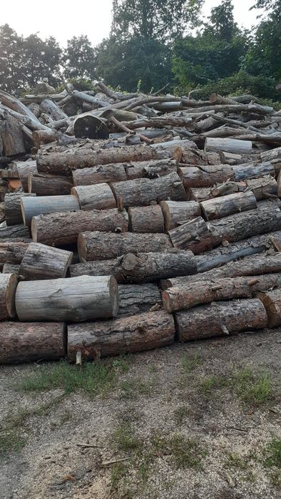 Drewno opałowe (sosna)