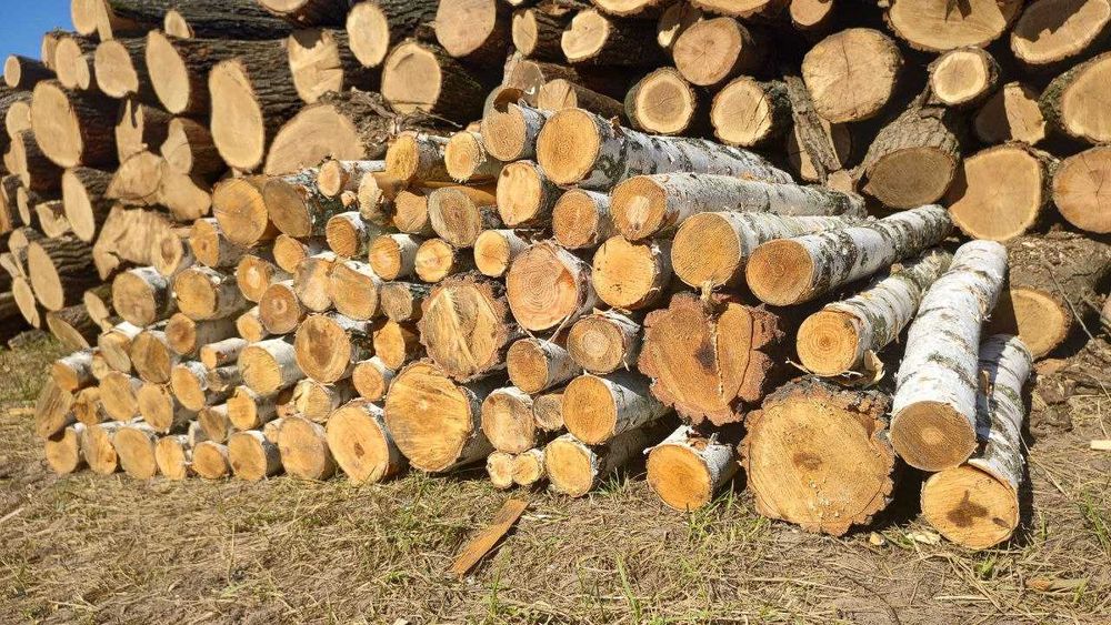 Дрова з берези з безкоштовною доставкою по Одесі та області!