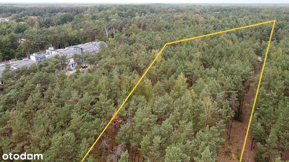 Grunt Inwestycyjny Na Sprzedaż – Warszawa Wesoła (Stara Miłosna)