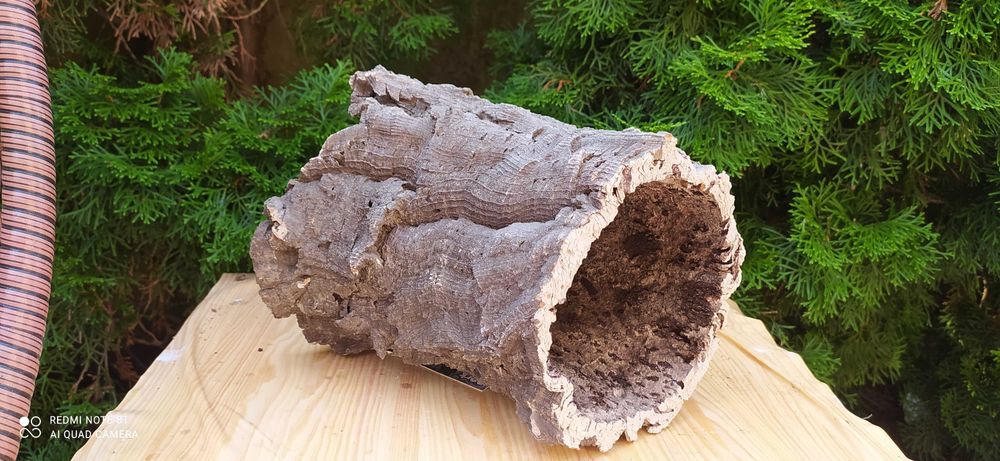 Grota do terrarium-23 cm