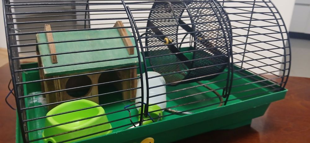 Клітка для хом'яка