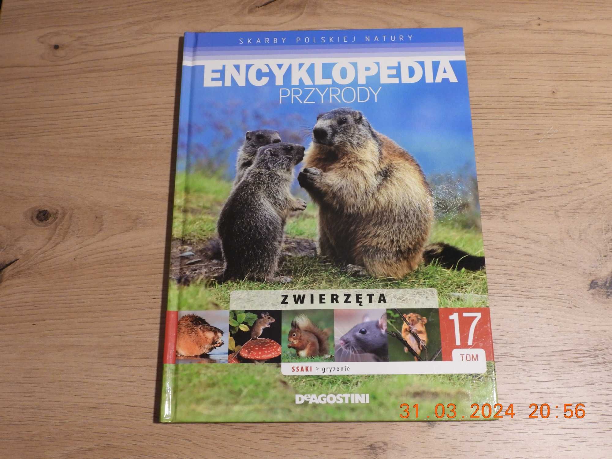 Encyklopedia Przyrody - Tom 17 Zwierzęta - Ssaki - Gryzonie