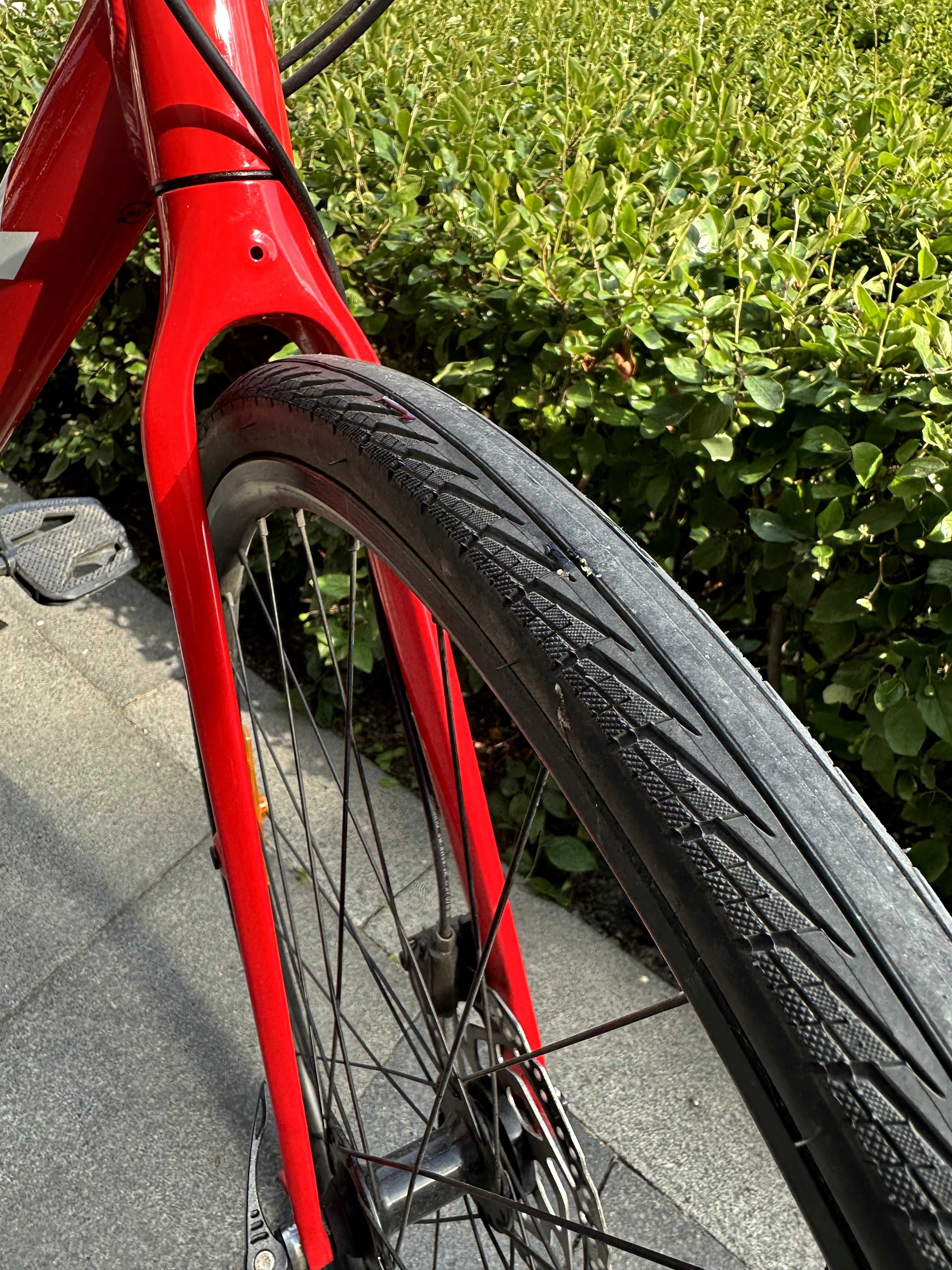 FX 3 Disc Gen 3 Rama L (175 - 186 cm)