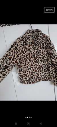 Futerko print rozm uniwersalny oversize