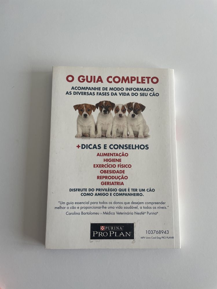 Cool Dog Dicas e Conselhos