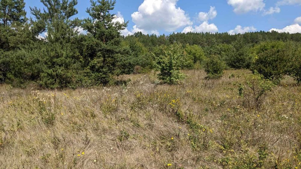 Продаж земельної ділянки на Дністрі Рудківці