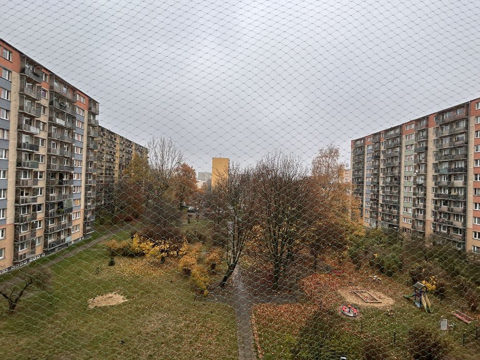 Dwupokojowe mieszkanie na wynajem 39m2