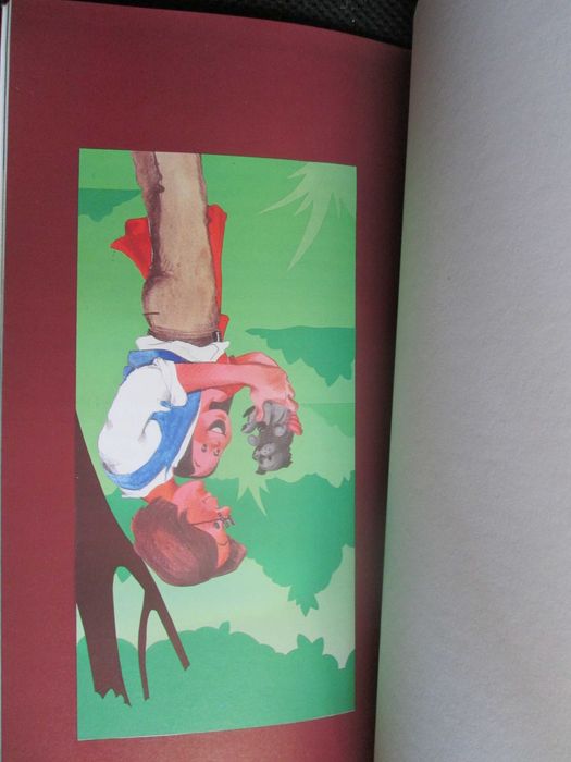 S.O.S. Animais em Perigo!, de Luísa Ducla Soares; Ilust. Isabel Paiva