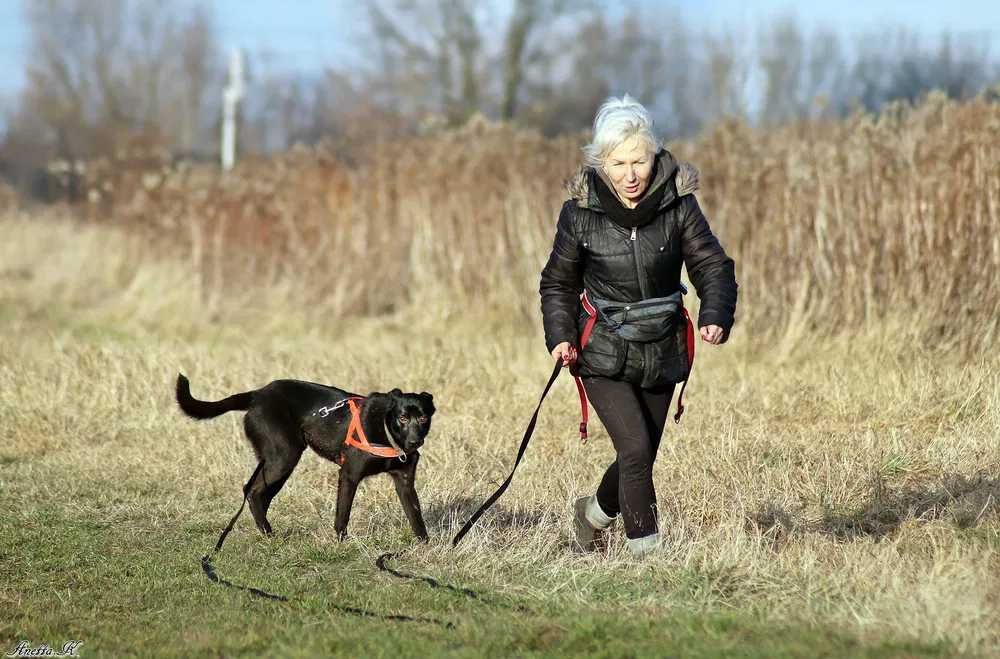 Piko pomimo młodego wieku przeszedł już bardzo wiele-teraz szuka domu