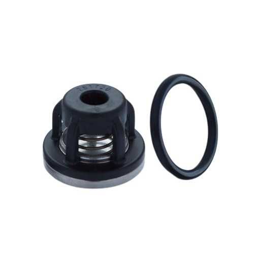 Zaworek pompy Annovi Reverberi 759051