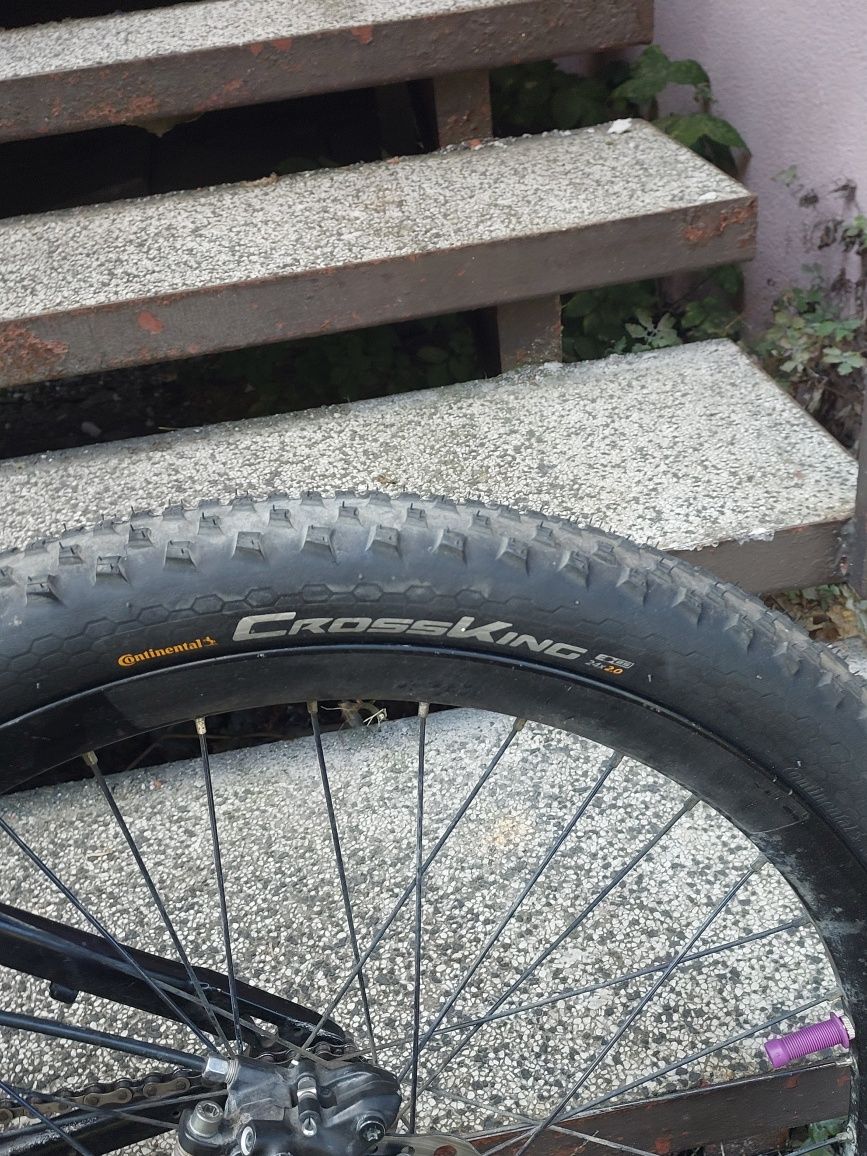 Rower dirt prodigi