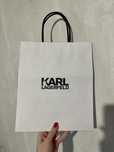 Пакет брендовый Karl Lagerfeld
