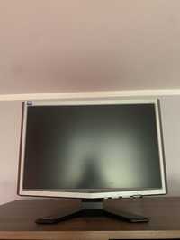 Monitor asus 19 cali