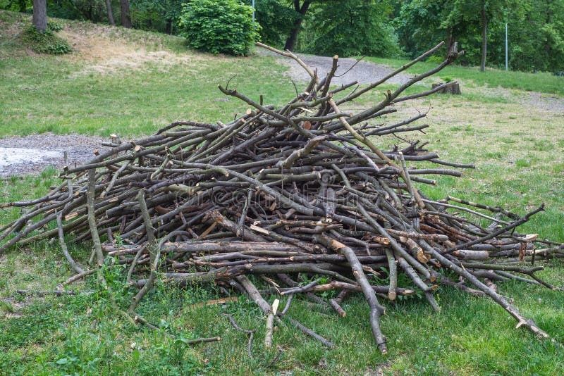 Czyszczenie działek sprzątanie wywóz śmieci gałęzi rozbiórka