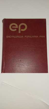 Encyklopedia popularna PWN z 1992 roku