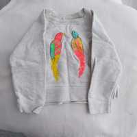 Bluza z papugami rozmiar 104 Zara