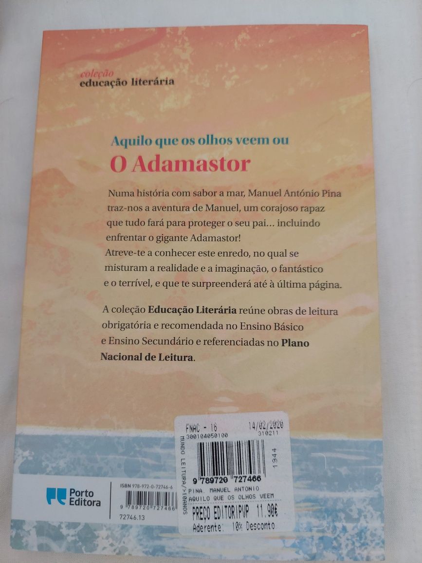 Aquilo que os olhos veem ou  o Adamastor
