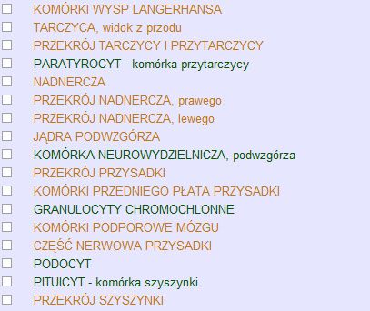 Biorezonans Diacom 3D-NLS analizator urządzenie - NAJTANIEJ metatron