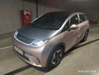 BYD Dolphin Fashion предтоп