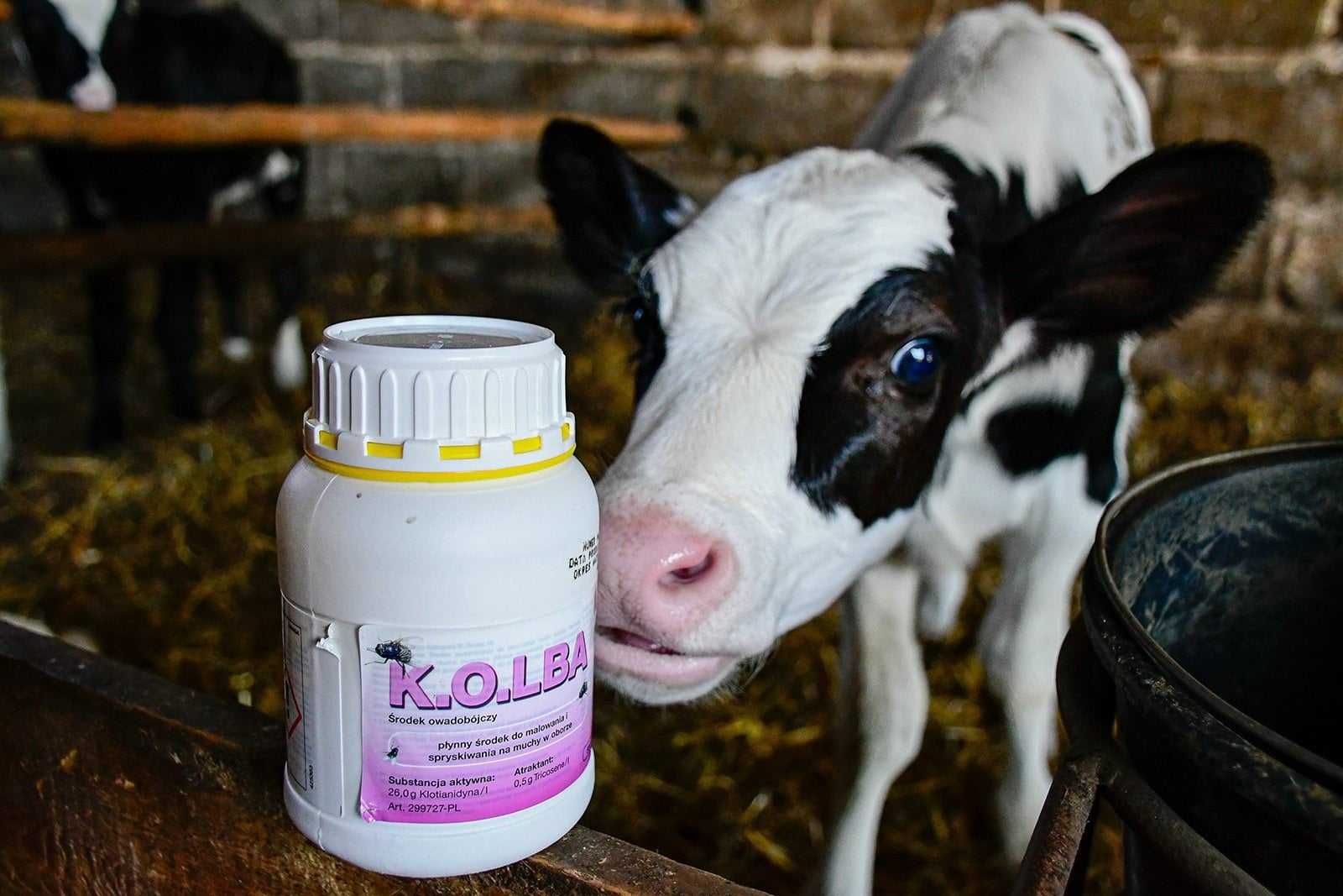 KOLBA Środek owadobójczy na muchy KOLBA, koncentrat, 500 ml