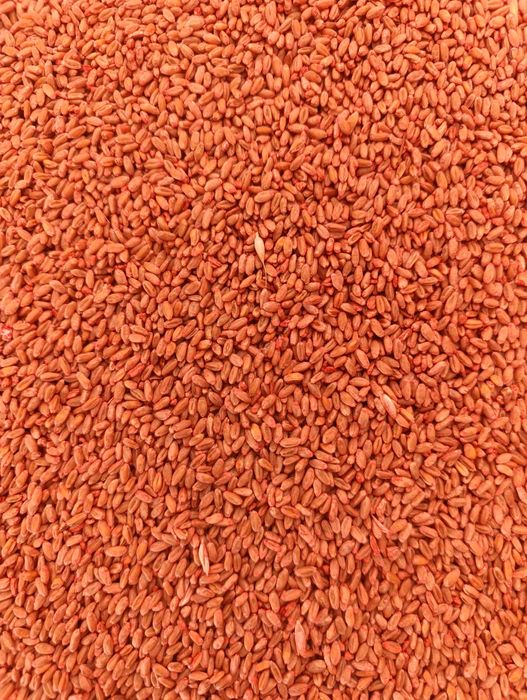 Продам озиму пшеницю перша репродукція посівмат,сімена