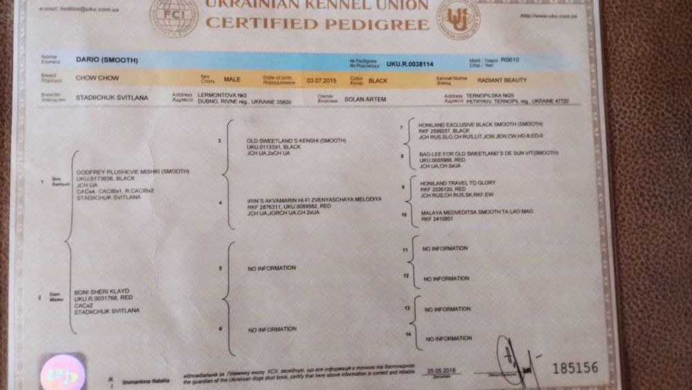 Пропонується на вязку собака породи Чау-чау (Смуф)