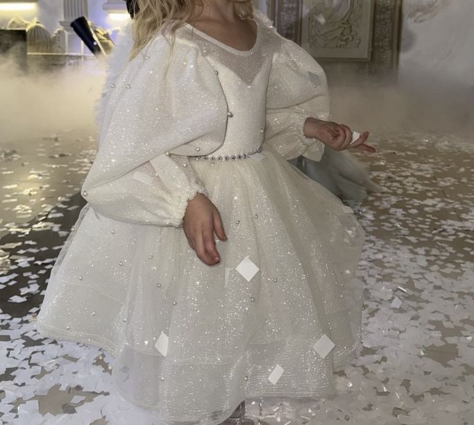 Сукня на дівчинку святкова новорічна на день народження не danielakids