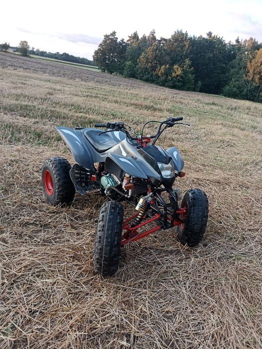Sprzedam Bashan 200
