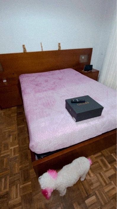 Cama de casal semi-nova