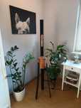 Piękna lampa podłogowa w stylu loft