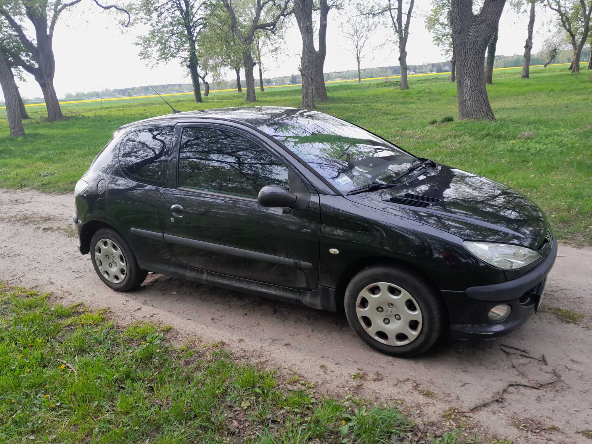 Peugeot 206, 2005rok  1,36 benzyna