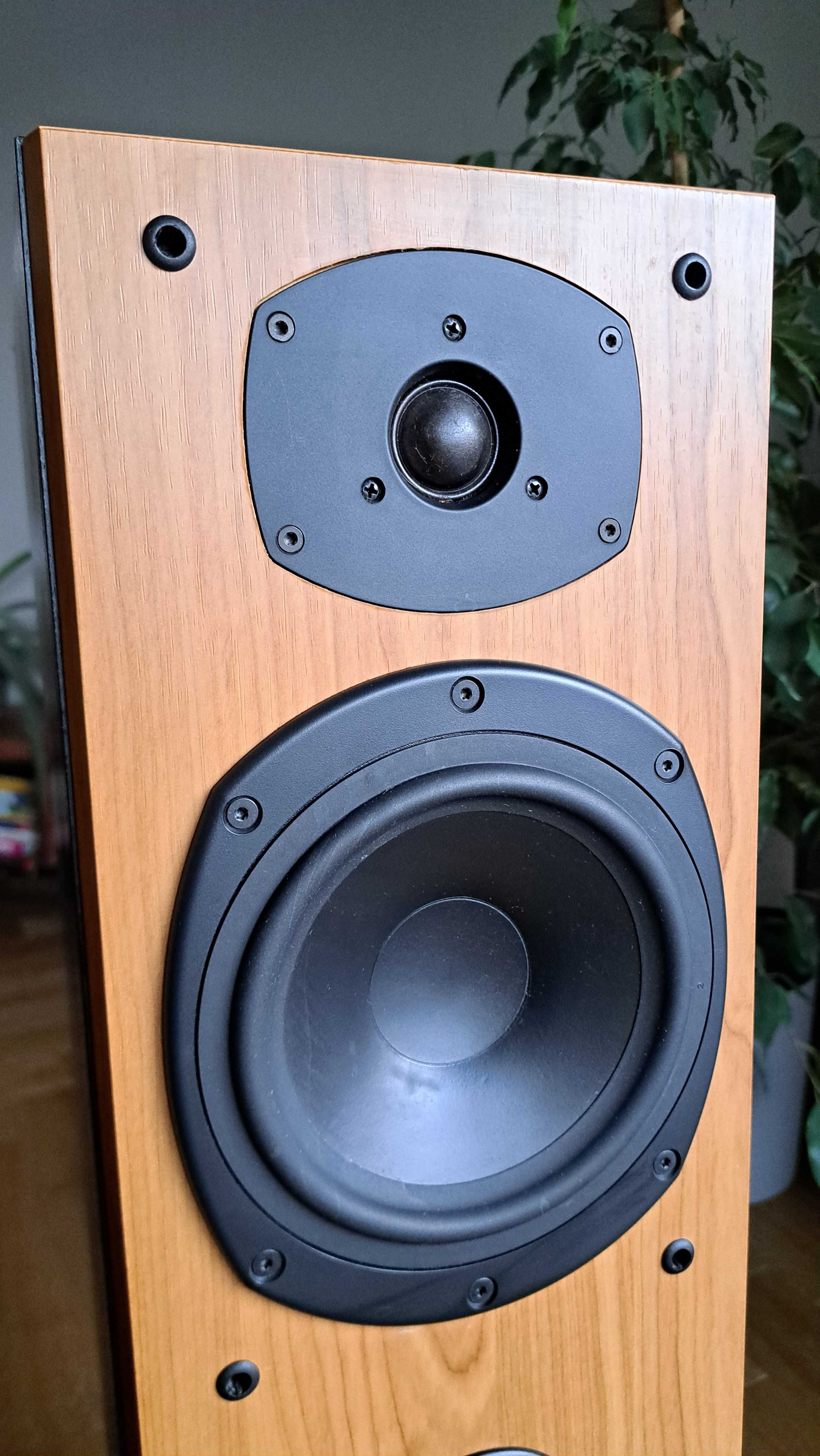Kolumny podłogowe Tannoy Mercury M3 Cherry