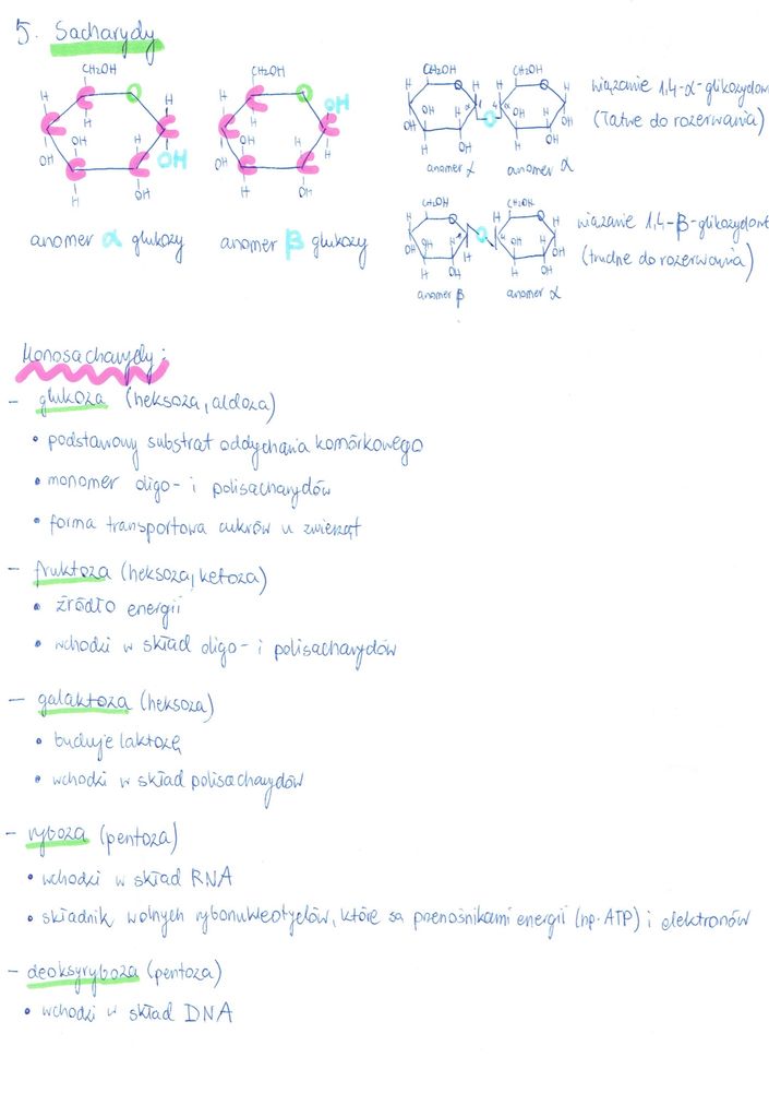 notatki do matury biologia