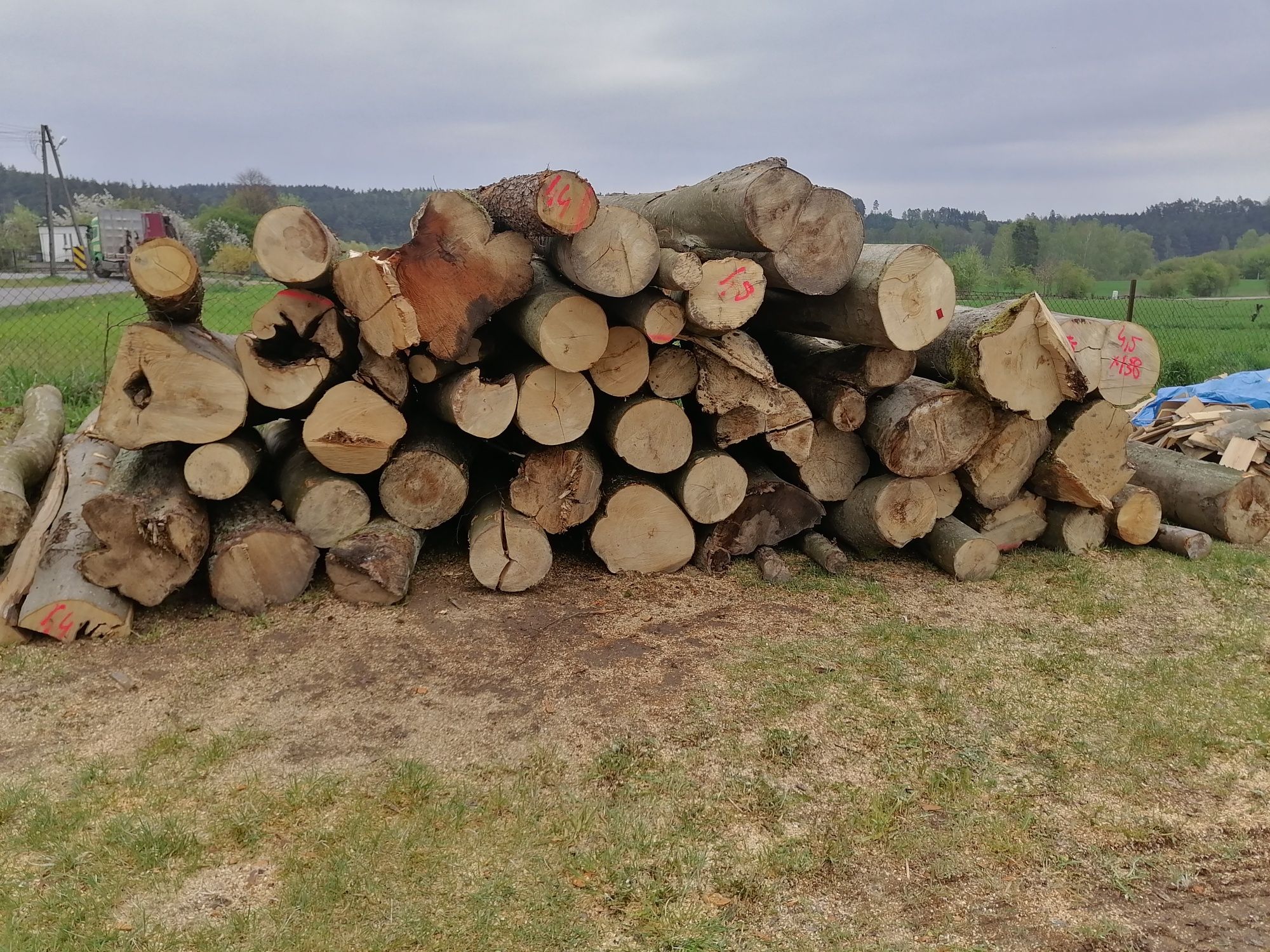 Sprzedam drewno opałowe różne od 190 zł do 300 zł za mp