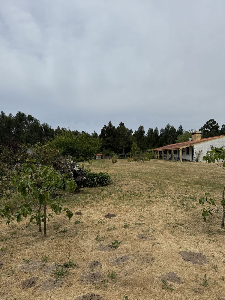 Quinta no Centro de Mira com 10.000 m² – Oportunidade Única!
