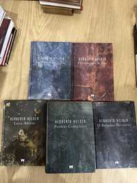 lote livros Herberto helder