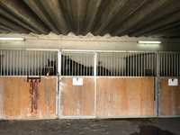 Boxe de cavalos de 4 metros de frente e 3 metros de fundo , seminova