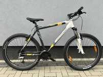 Rower Author Basic 26”