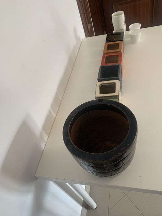 Conjunto com 12 vasos de plantas