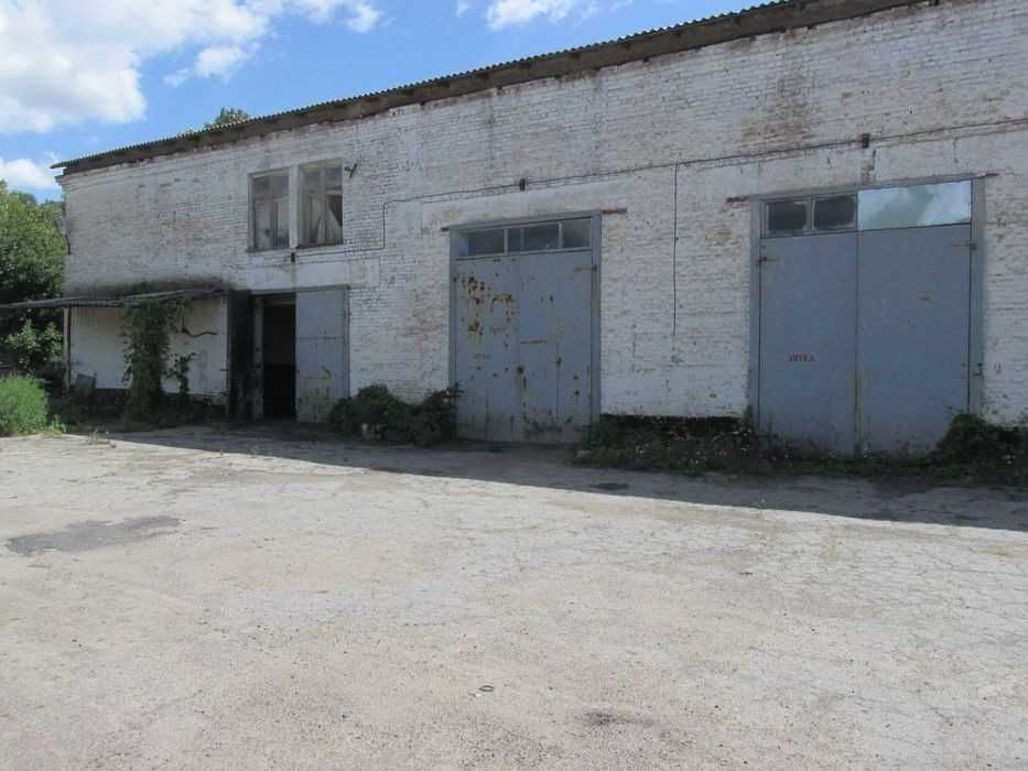 Здається в оренду виробнича база