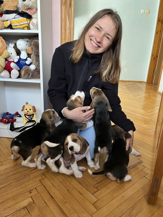 Вигул вашої собаки/перетримка