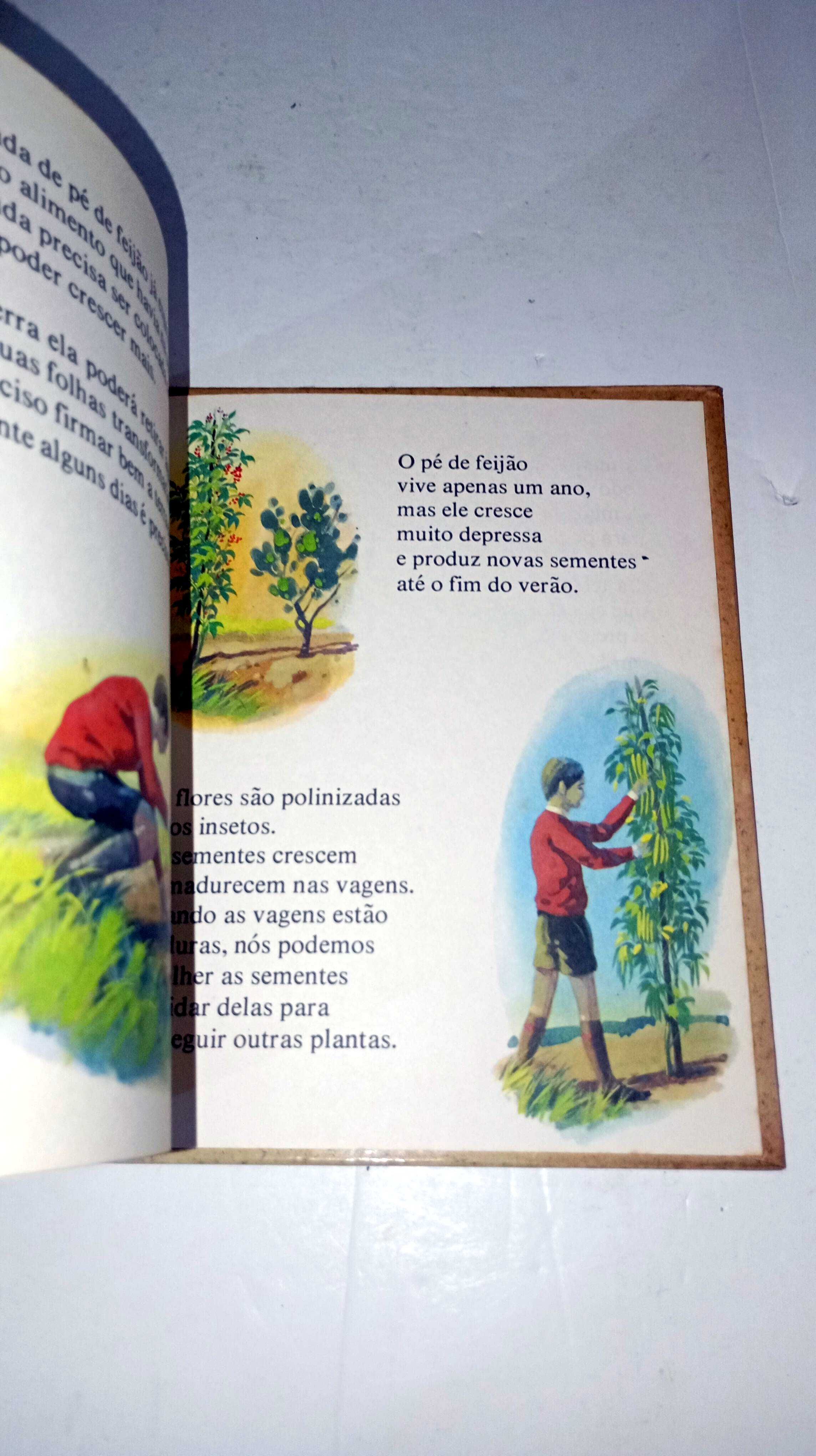 Como Vivem as Flores - Biblioteca das Crianças