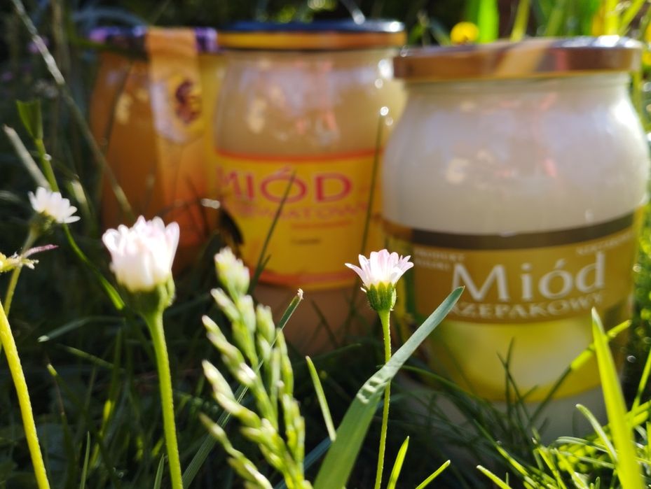 Miód wielokwiatowy sezon 2023
