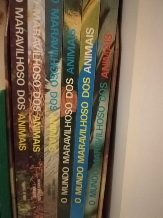 O maravilhoso Mundo dos animais