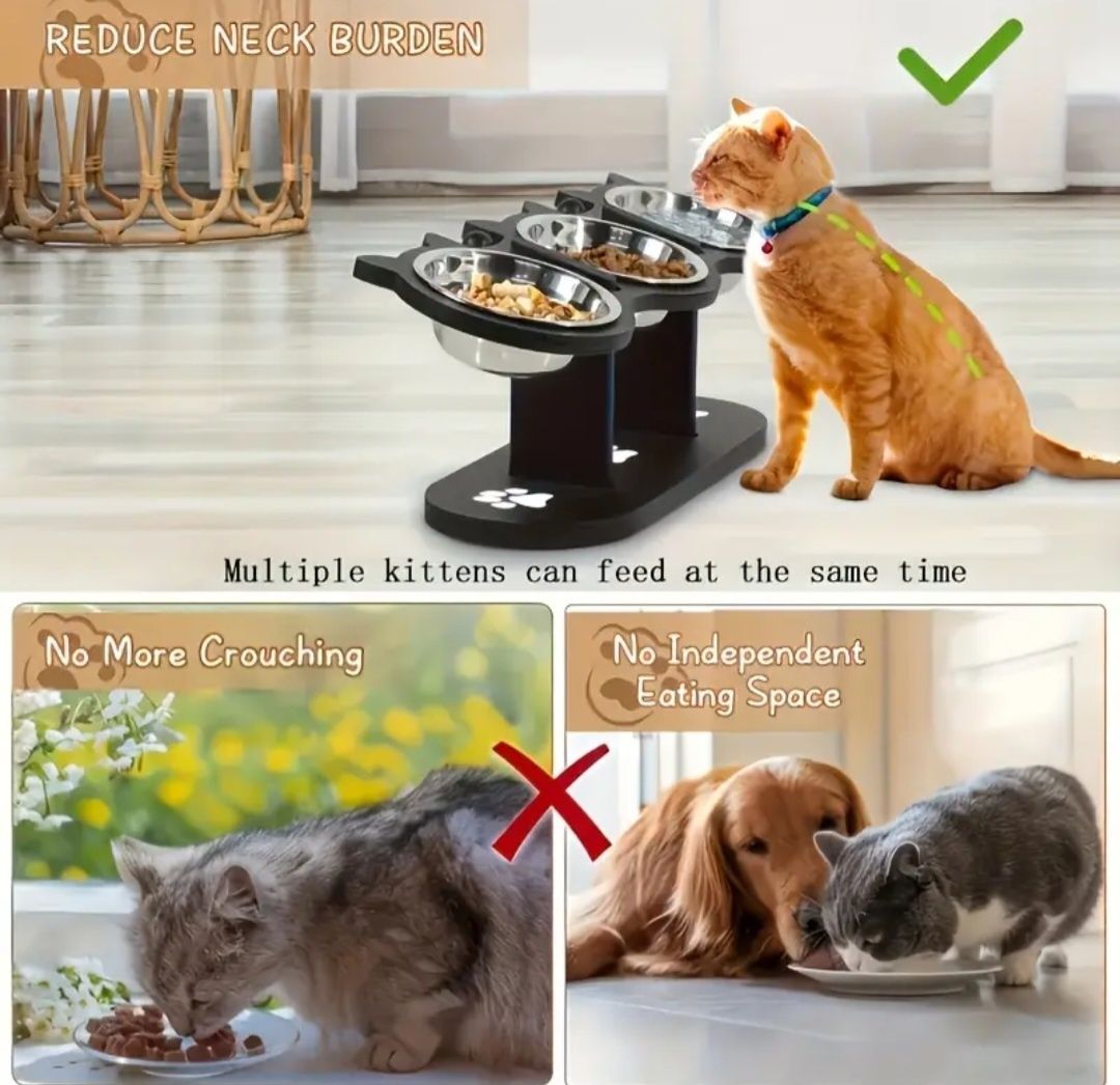 Comedouro duplo + Bebedouro com altura ajustável para gato