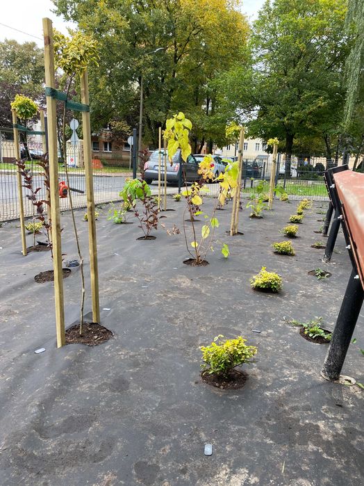 Usługi ogrodnicze - realizacja, pielęgnacja ogrodów