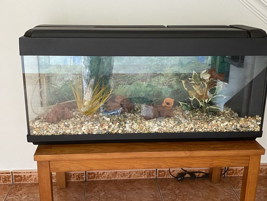 Aquário preparado para água fria 120l