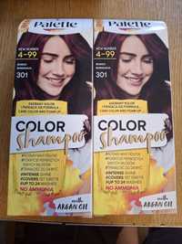Color shampoo bordo 301